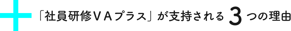 「社員研修VAプラス」が支持される3つの理由