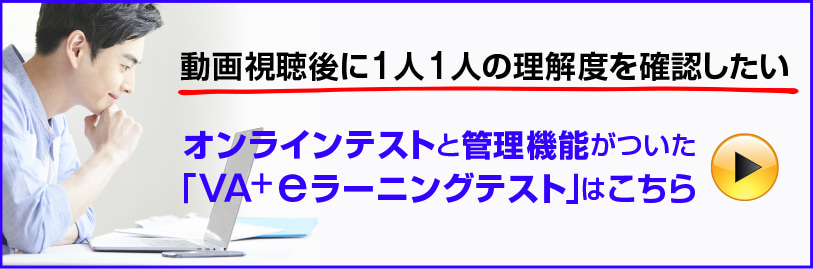 �I�����C���e�X�g�ƊǗ��@�\�������uVA+e���[�j���O�e�X�g�v�͂�����