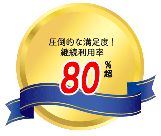 ���|�I�Ȗ����x �p�����p�� 80%